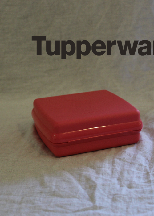 Sandwich Keeper Watermelon