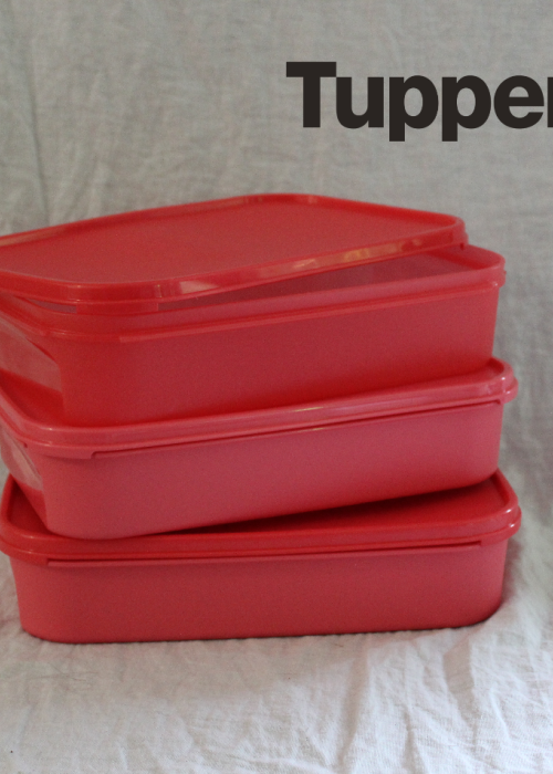 Space Saver Rectangular 2lt Watermelon