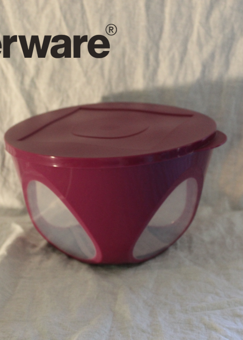 Outdoor Dining Bowl 4.3lt Purple