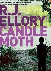 Candle Moth