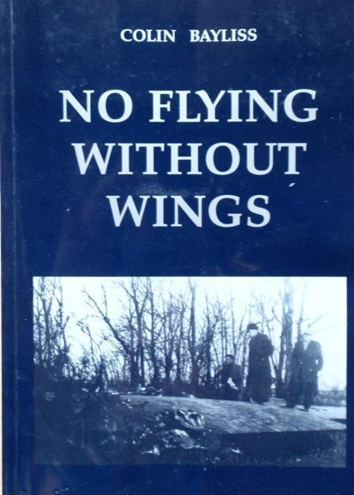 No Flying Without Wings