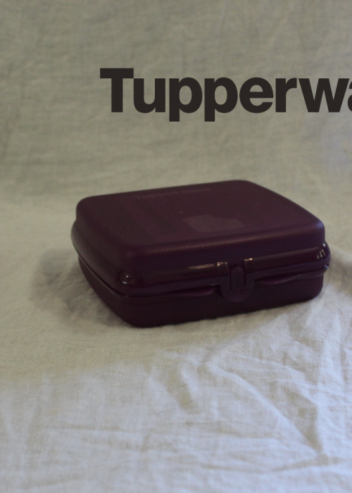 Sandwich Keeper Dark Purple