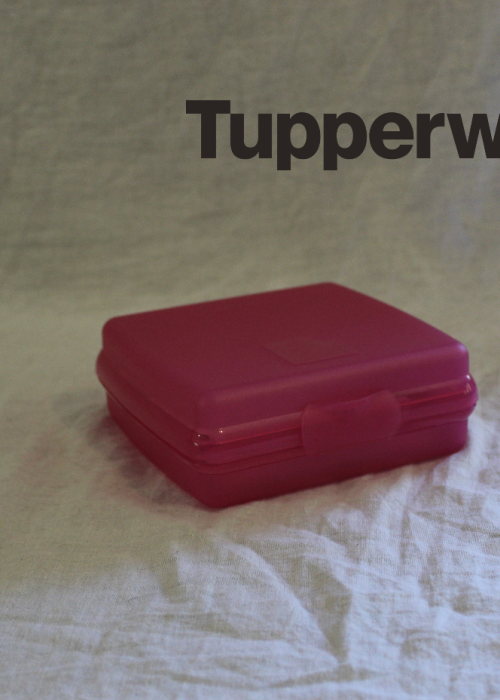 Sandwich Keeper Fuchsia Pink 