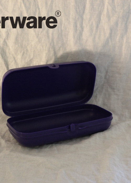 Oyster Oblong Purple