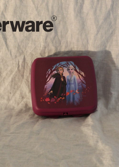 Sandwich Keeper Disney Frozen Purple 